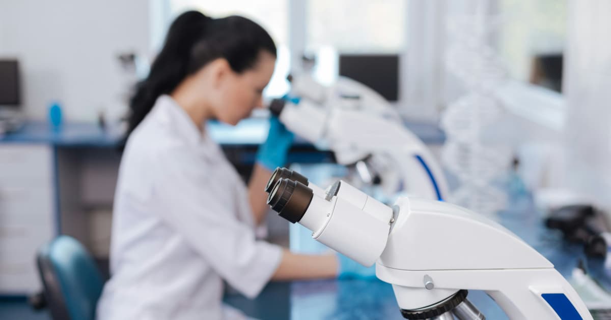 Nicola Mining Launches 2025 Diamond Drilling Campaign at New Craigmont Copper Project