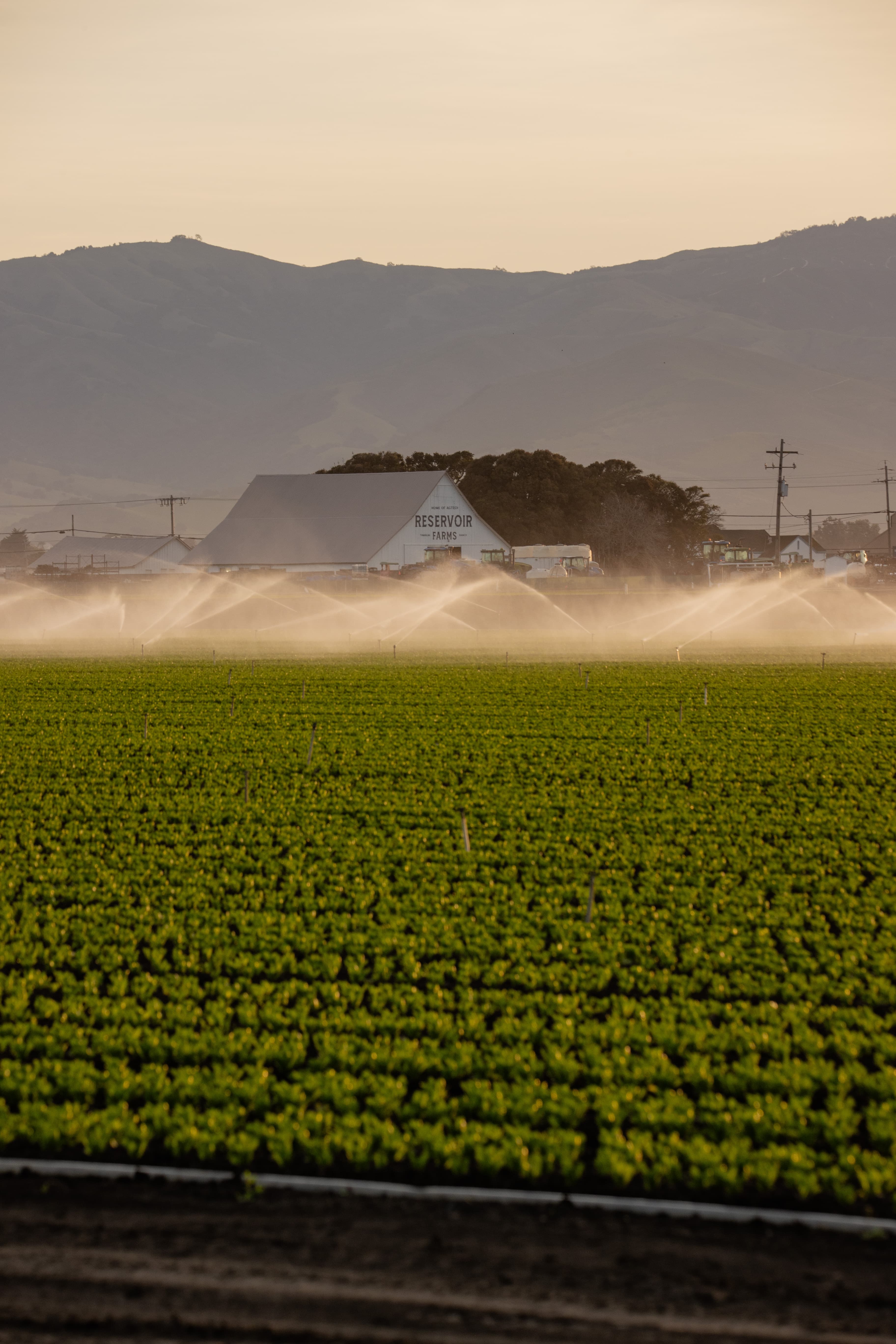 Reservoir Launches Free Associate Tier to Lower Barriers for AgTech Innovation