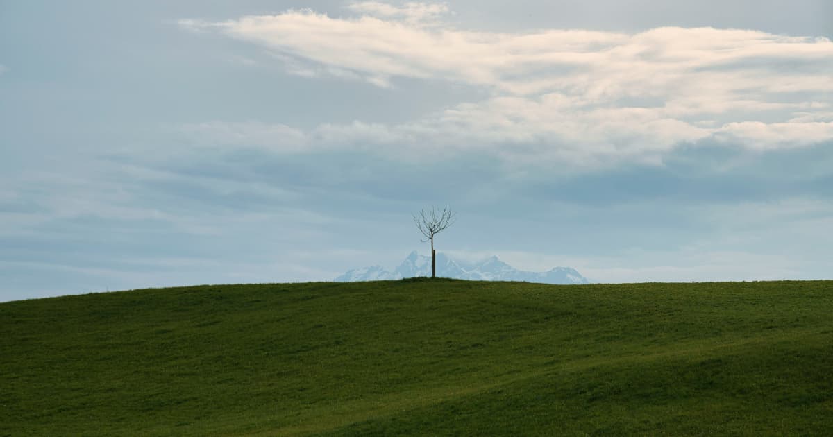 MAX Power Mining Positioned to Meet AI Energy Demands Through Natural Hydrogen Focus