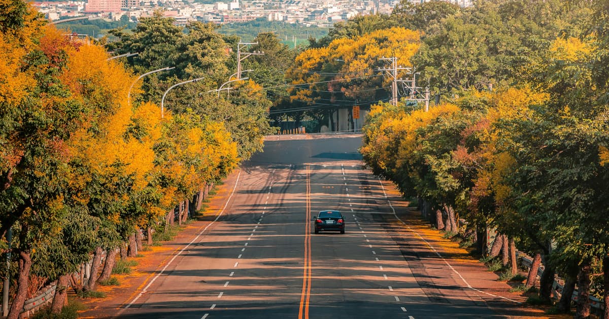 Viking Asia Executive Retreat Blends Leadership Training with Cultural Discovery