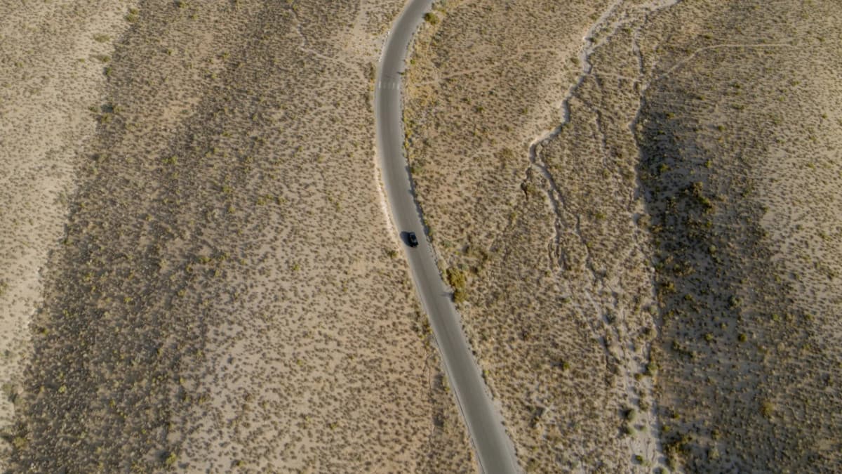 Whisenhunt Media's Strategic Pivot to AI-Driven Content Architecture Signals Industry Evolution